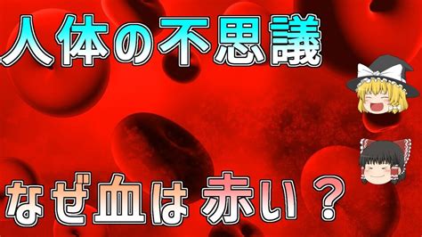 血管青色|赤い血が流れているのに血管が青く見えるのはなぜ？